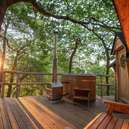 Chestnut Tree House With Hot Tub & Sauna Barmouth Luaran gambar