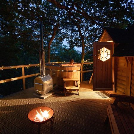 Chestnut Tree House With Hot Tub & Sauna Barmouth Luaran gambar