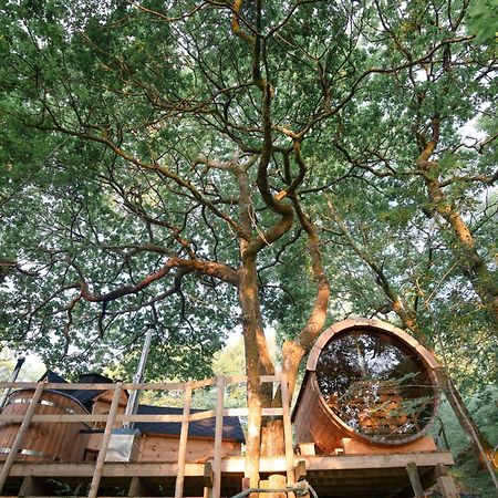 Chestnut Tree House With Hot Tub & Sauna Barmouth Luaran gambar