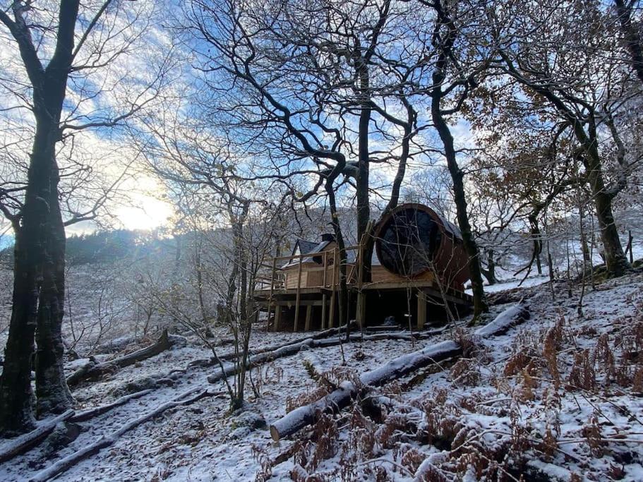 Chestnut Tree House With Hot Tub & Sauna Barmouth Luaran gambar