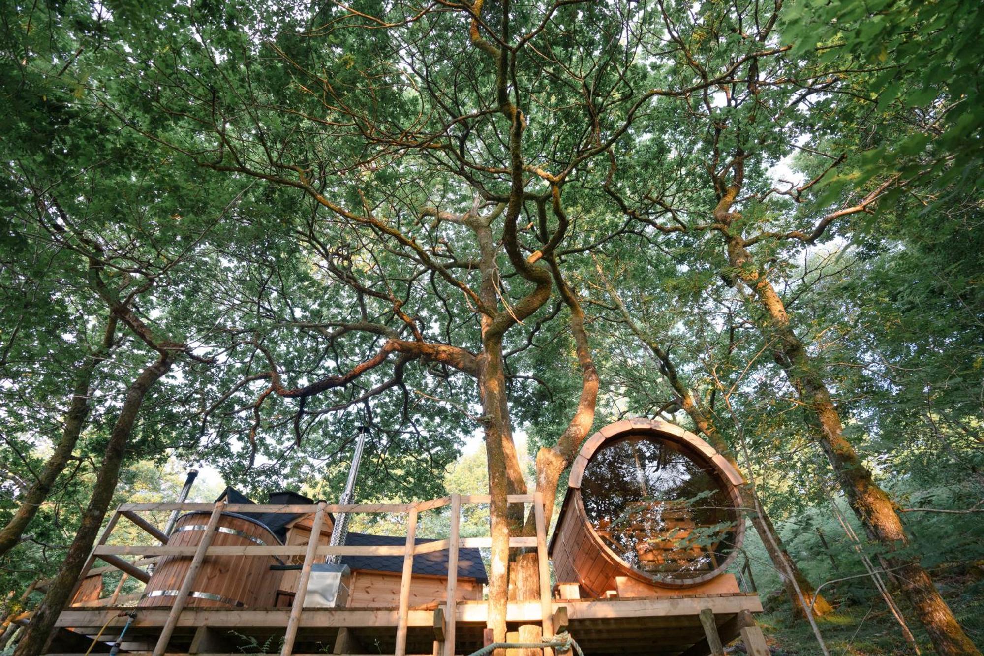 Chestnut Tree House With Hot Tub & Sauna Barmouth Luaran gambar